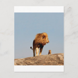 Der Löwenkönig ( Adult Löwe und Cub ) Postkarte