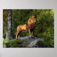 Der Löwenkönig