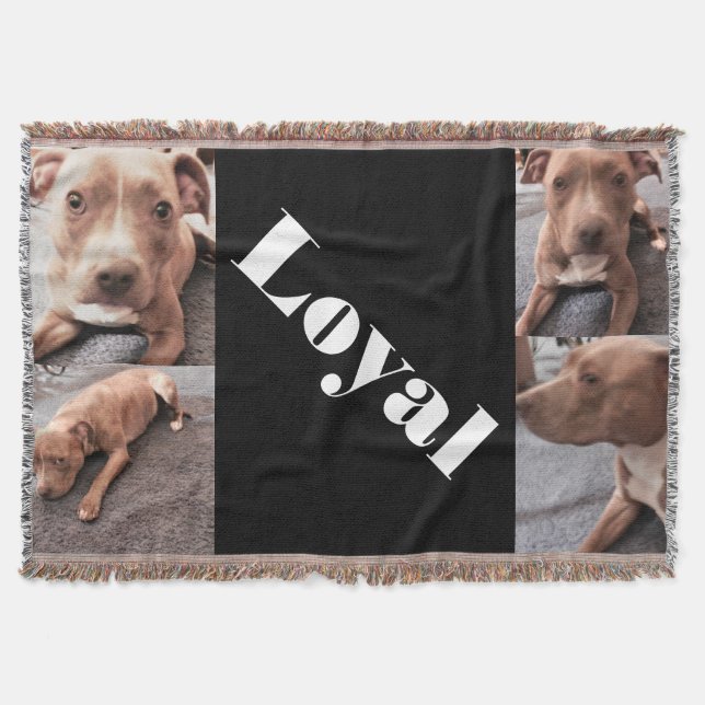 DER LOYAL PIT BULL-Wurf Decke (Vorderseite)