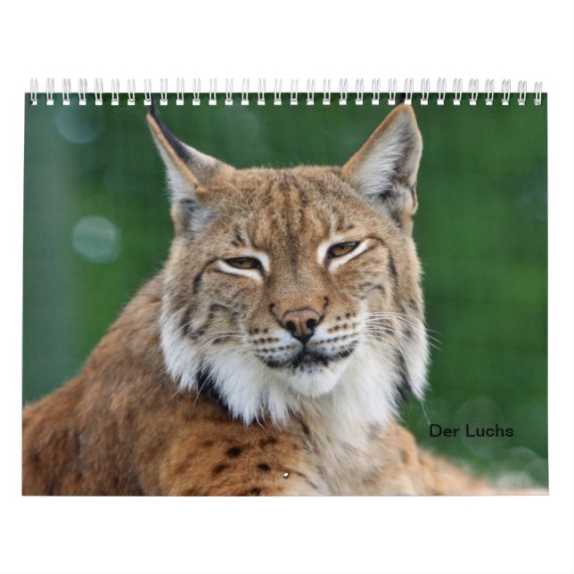 Der Luchs Kalender (Titelbild)