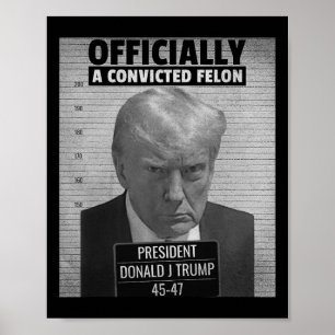 Der lustige Präsident Trump ist offiziell ein veru Poster