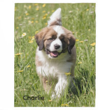 Der lustige St. Bernard Personalisiert