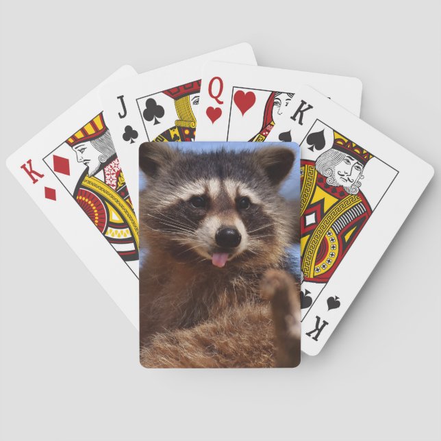 Der lustige Waschbär, der es haftet, ist Zunge Spielkarten (Rückseite)
