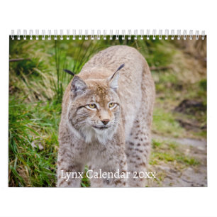 Der Lynx Wildlife-Kalender Kalender