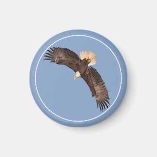 Der mächtige Adler Magnet