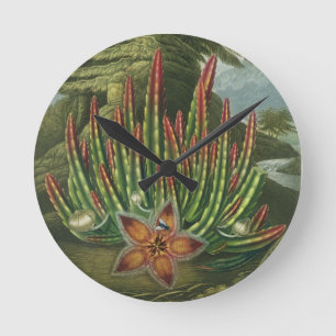 Der Made-Lager Stapelia, graviert durch Stadler, Runde Wanduhr