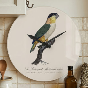 Der Maipouri-Papagei / Schwarzkopfpapagei Große Wanduhr