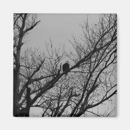 Der Mann, der Uhr nimmt Magnet