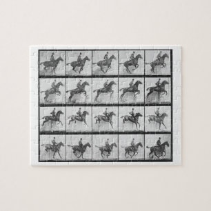 Der Mann und Pferd, die einen Zaun springen,