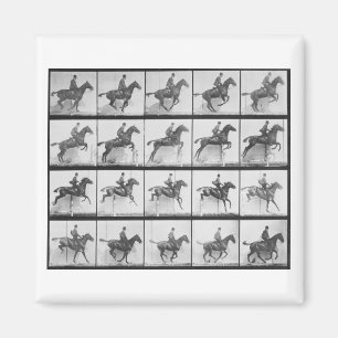 Der Mann und Pferd, die einen Zaun springen, Magnet