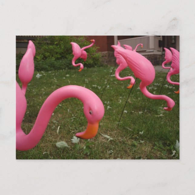Der März der rosa Flamingos-Postkarte Postkarte (Vorderseite)