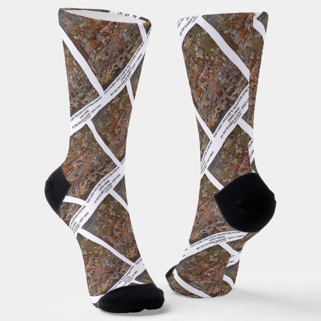 Der Meisterstrom der Fairy Feller von Richard Dadd Socken (Gewinkelt)
