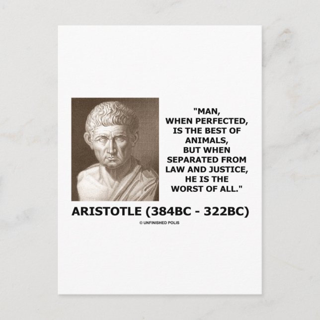 Der Mensch hat das beste Tierrecht Richtigkeit am  Postkarte (Vorderseite)