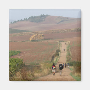 Der Meseta Magnet