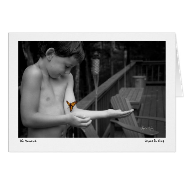 Der Monarch (Vorderseite (Horizontal))