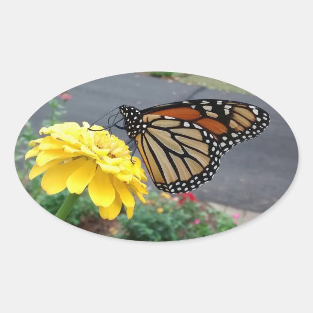 Der Monarch auf dem Gelben Zinnia Ovaler Aufkleber (Vorderseite)