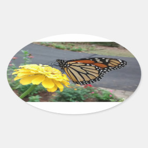 Der Monarch auf dem Gelben Zinnia Ovaler Aufkleber