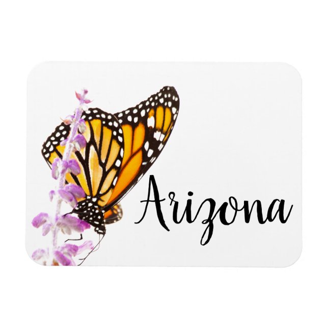 Der Monarch auf dem Lavendel, Arizona Magnet (Horizontal)