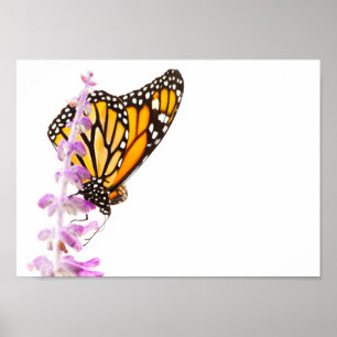 Der Monarch ist auf dem Lavendel Poster