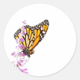 Der Monarch ist auf dem Lavendel Runder Aufkleber