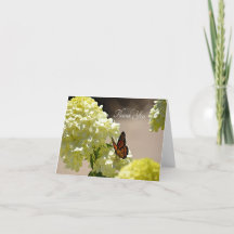 Der Monarch und die Blume