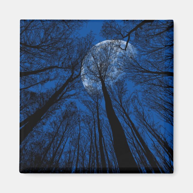 Der Mond in der nächtlichen Himmel Magnet (Vorne)