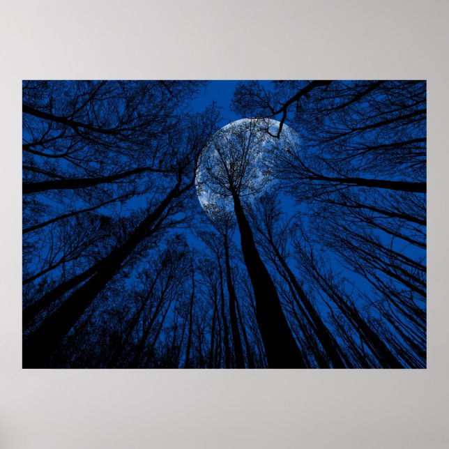 Der Mond in der nächtlichen Himmel Poster (Vorne)
