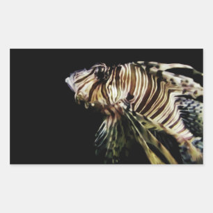 Der Mondfisch Rechteckiger Aufkleber