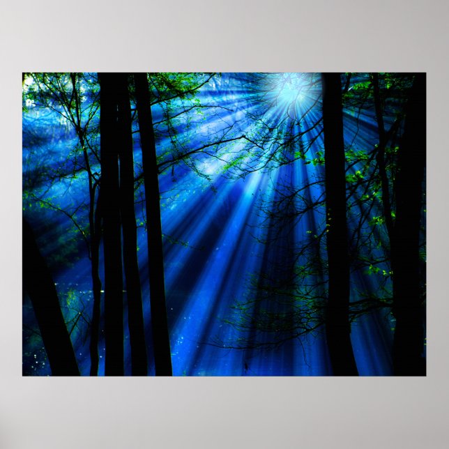 Der Mondlichter strahlt am See Poster (Vorne)