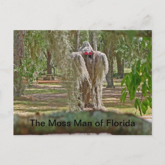 Der Moosmann von Florida Postkarte (Vorderseite)