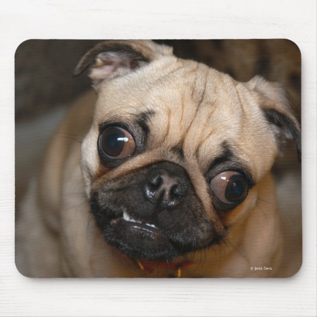 Der Mops Mousepad (Vorne)