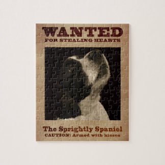 Der muntere SpringerSpaniel