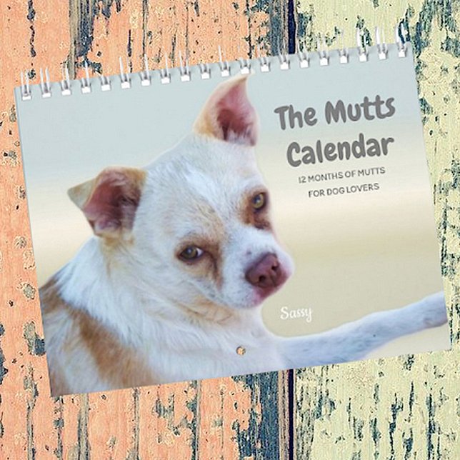 Der Mutationen-Kalender für Hundeliebhaber Kalender (Von Creator hochgeladen)