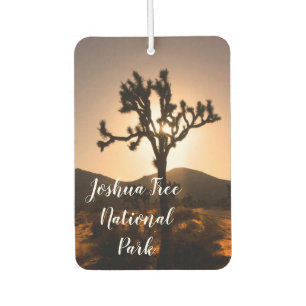 Der Nachtfall beginnt bei Joshua Tree Autolufterfrischer