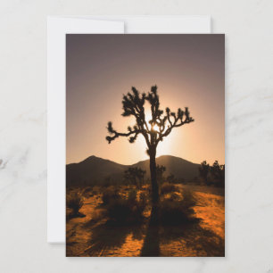 Der Nachtfall beginnt bei Joshua Tree Karte
