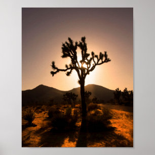 Der Nachtfall beginnt bei Joshua Tree Poster
