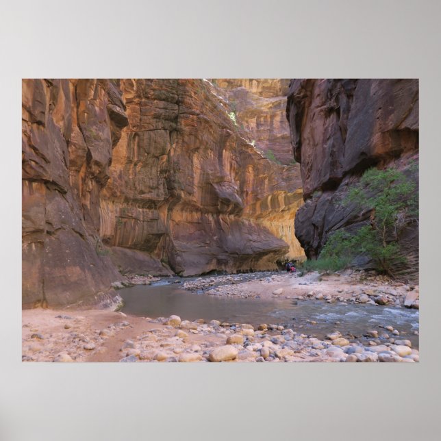 Der Nationalpark Narrows Zion Poster (Vorne)
