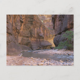 Der Nationalpark Narrows Zion Postkarte
