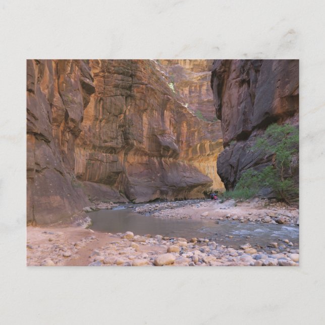 Der Nationalpark Narrows Zion Postkarte (Vorderseite)