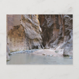 Der Nationalpark Narrows Zion Postkarte