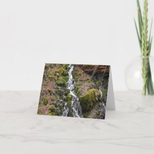 Der neue Wasserfall vom Frühling.... Karte