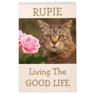 Der Niedliche Katzenkalender des Rupie Shops Kalender