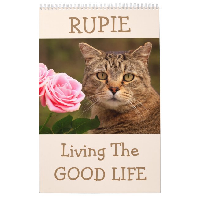 Der Niedliche Katzenkalender des Rupie Shops Kalender (Titelbild)