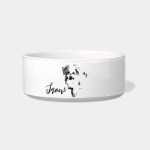 Der Niedlichste Malteser je