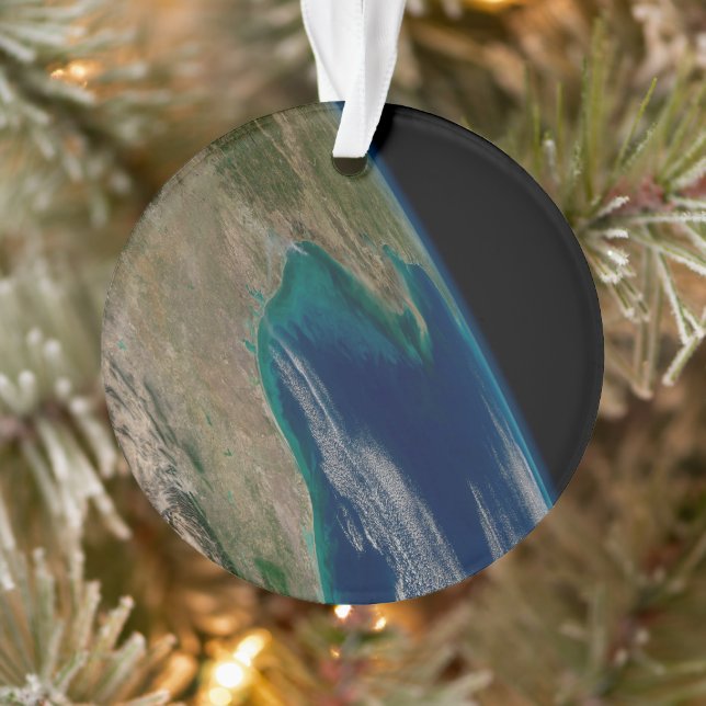 Der nördliche Golf von Mexiko. Ornament (Baum)