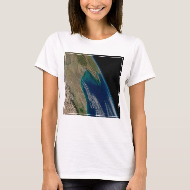 Der nördliche Golf von Mexiko. T-Shirt (Vorderseite)