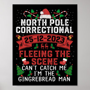 Der Nordpol, der der Szene entflieht, kann nicht Poster