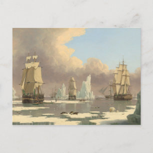 Der Nordpol Drei Mastschiffe Seezunge Postkarte