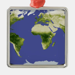 Der normierte Index für Unterschiedsvegetation Silbernes Ornament