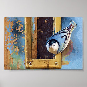 Der Nuthatch Poster